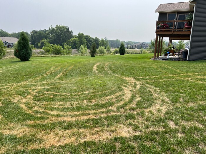 a compacted brown lawn suffering from leaf blight