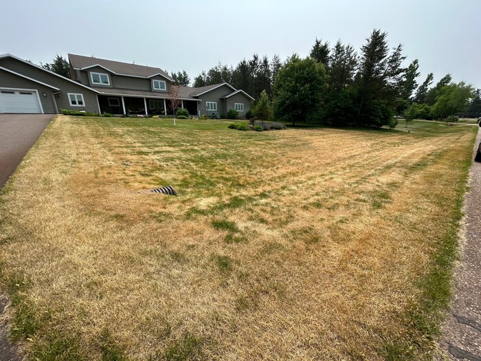 leaf blight rainmaster 5