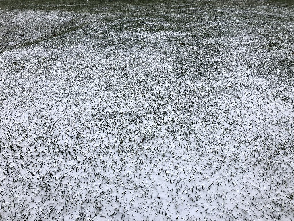 lawn yard covered in snow with grass poking through