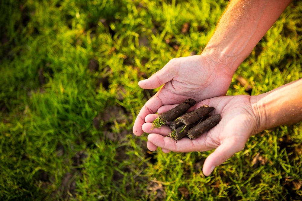 hands holding aeration cores