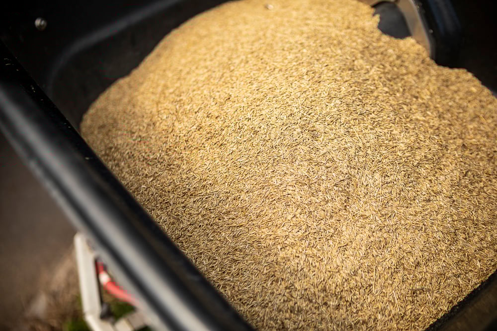 grass seed in a spreader