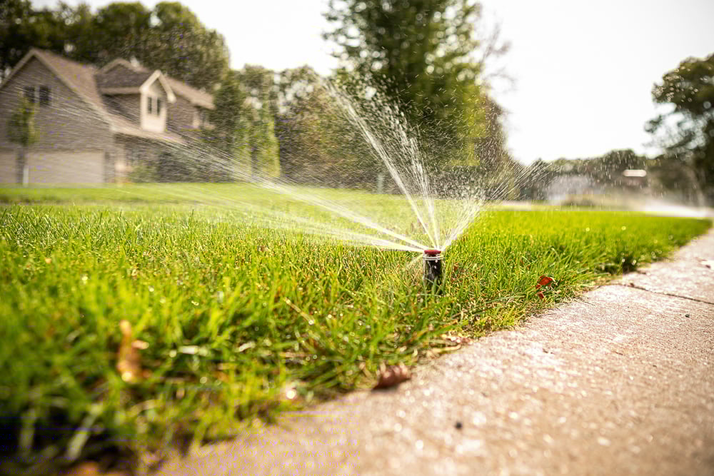 irrigation close-up 2