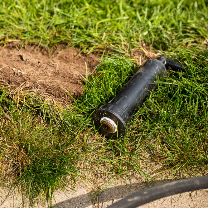 irrigation lawn sprinkler head laying on grass during installation