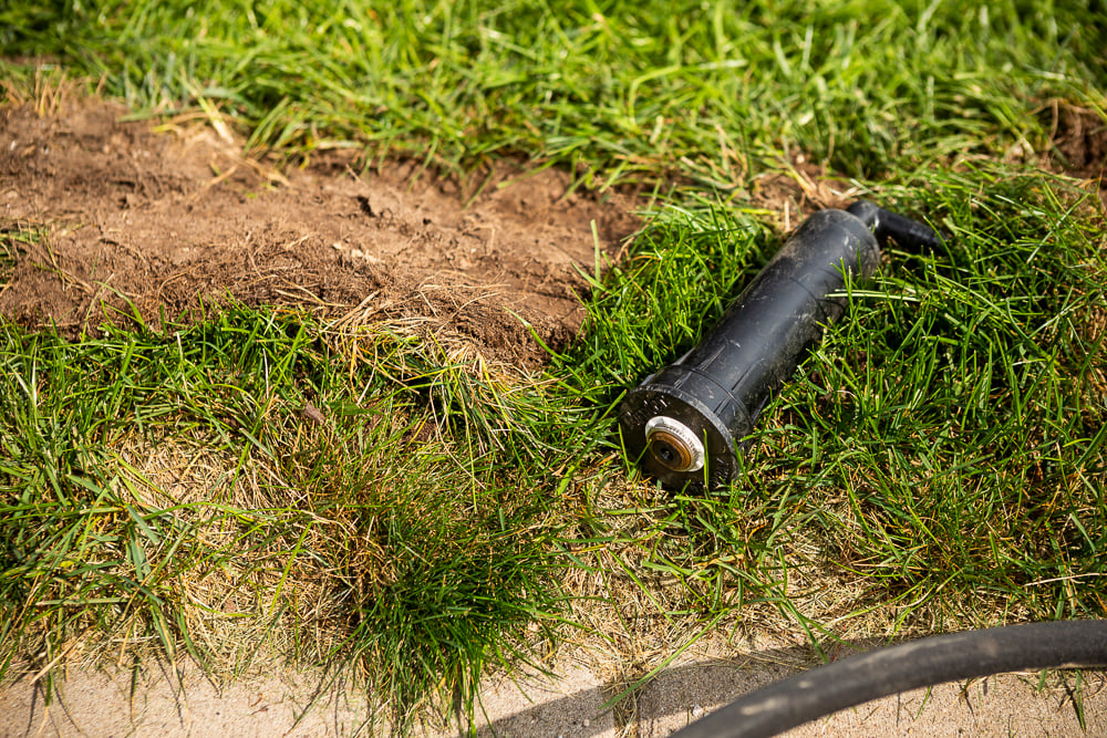 sprinkler head laying on grass