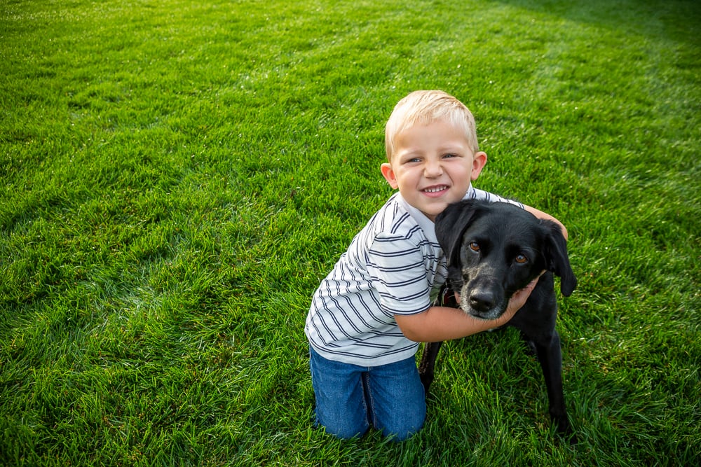 Dog and child in lawn with lawn care