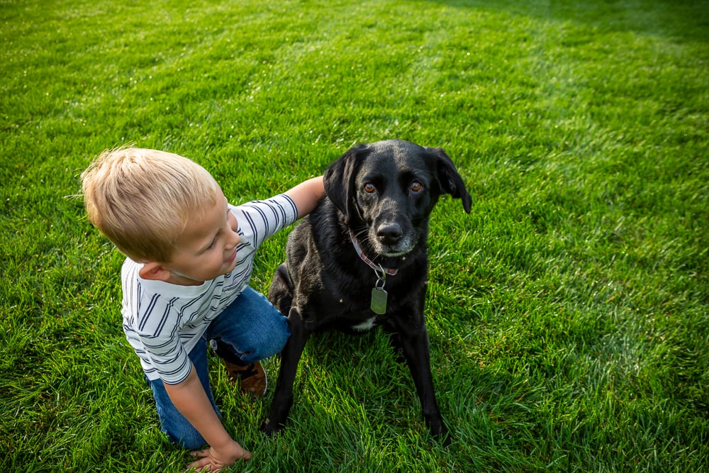 child and dog sitting on grass