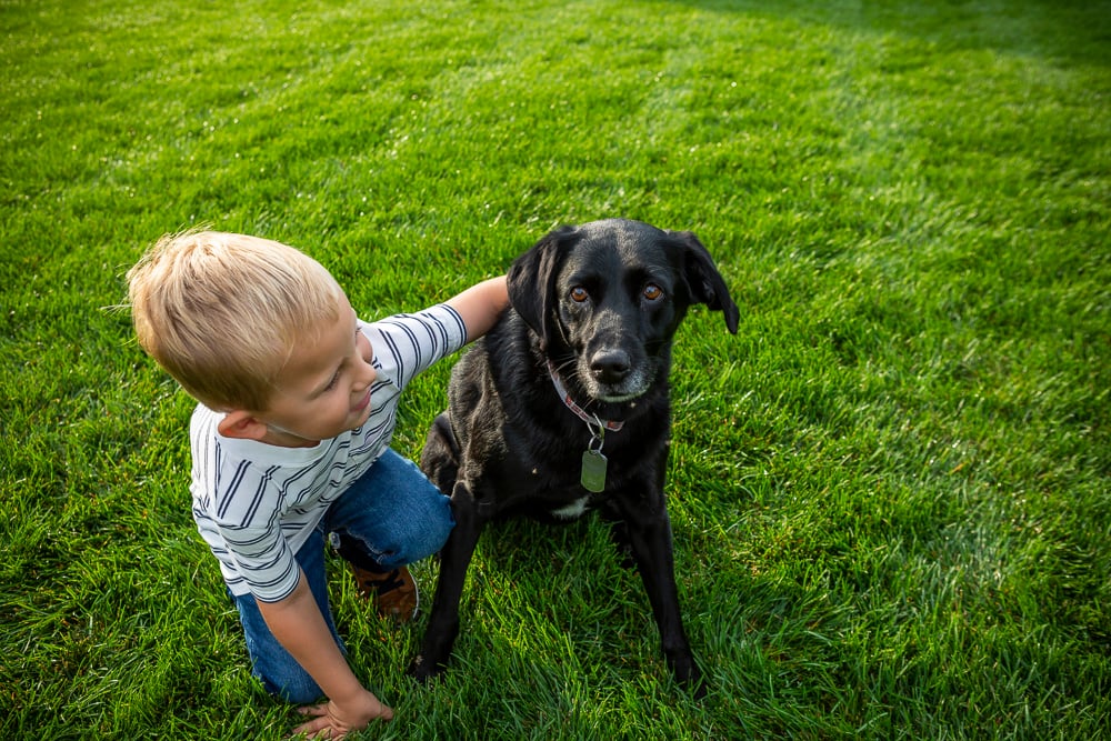 child and dog sit on lawn