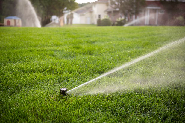 lawn irrigation in healthy green grass