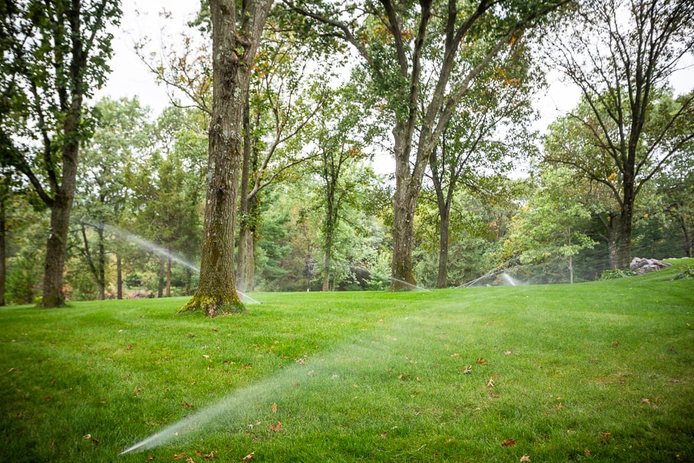 Lawn irrigation for a new lawn