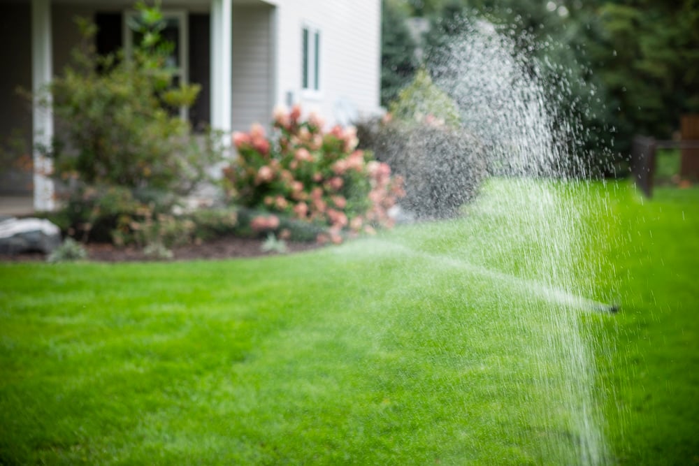 irrigation system waters healthy grass