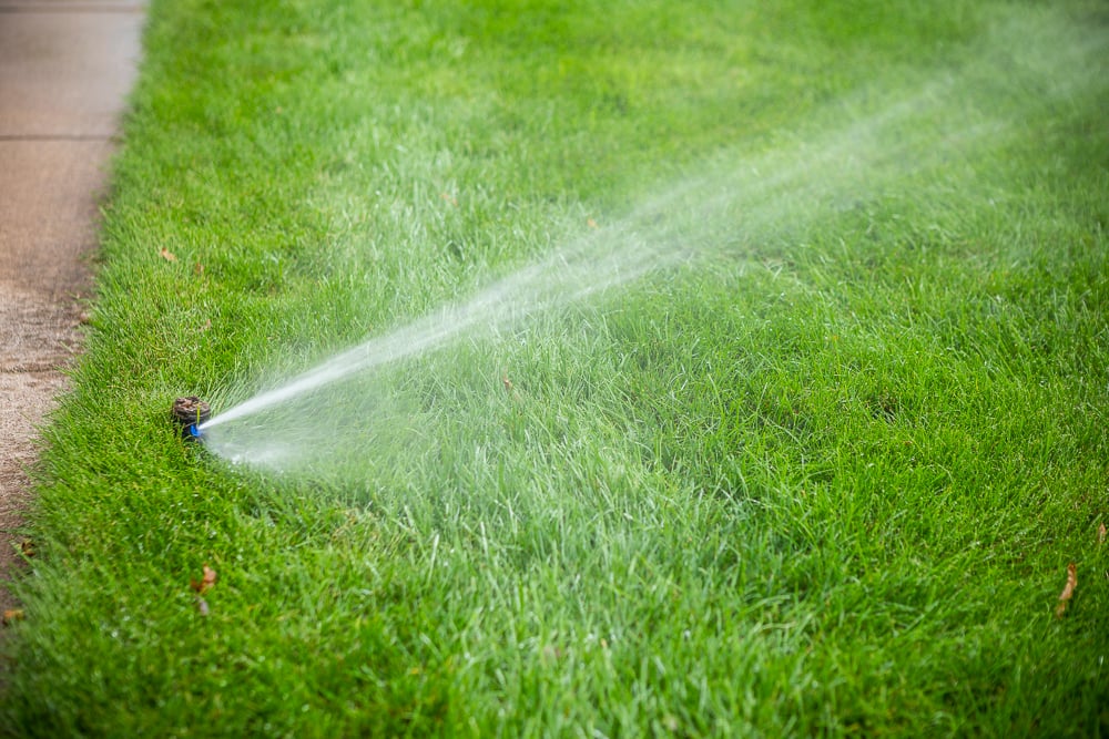 irrigation system waters lawn