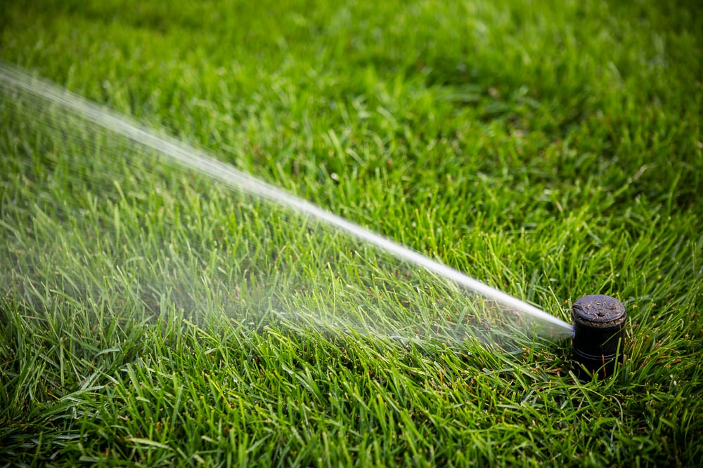 sprinkler head waters grass