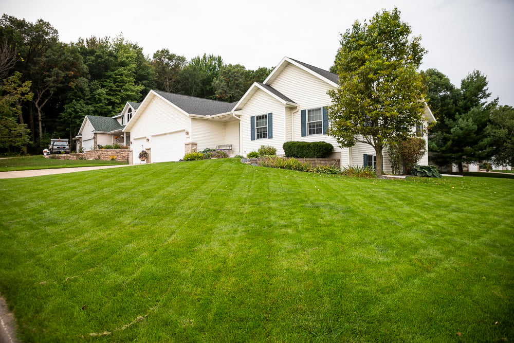 lawn mowed to ideal height