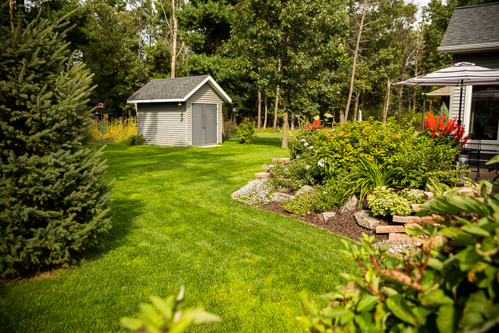 shady lawn and landscape