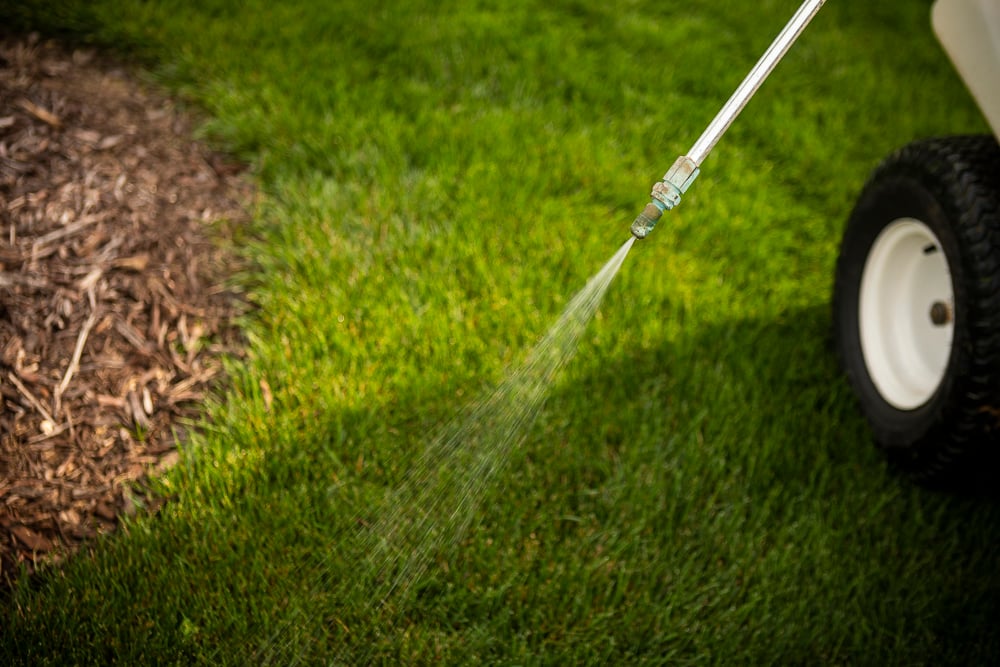 lawn care technician spot-spraying a yard for weed control