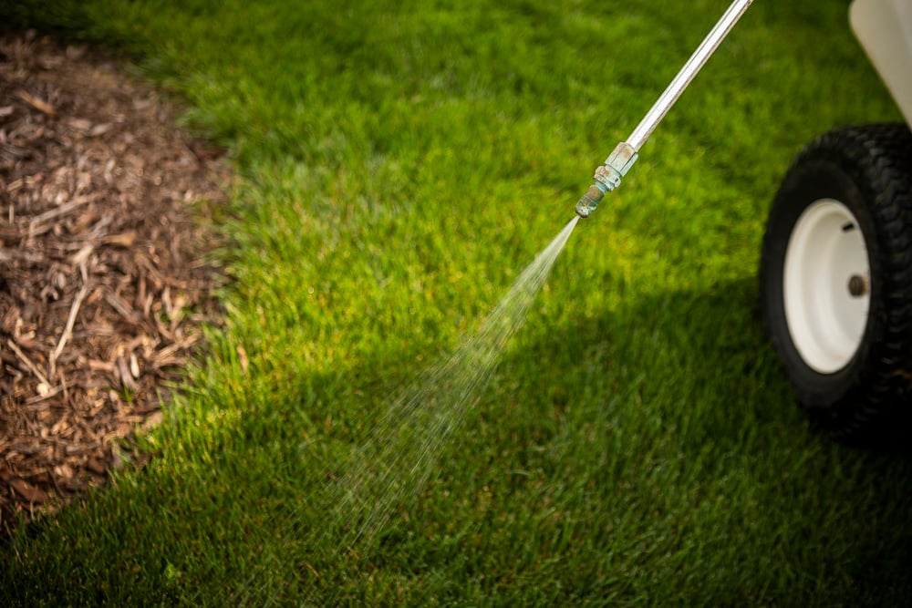 lawn technician spot spraying weeds