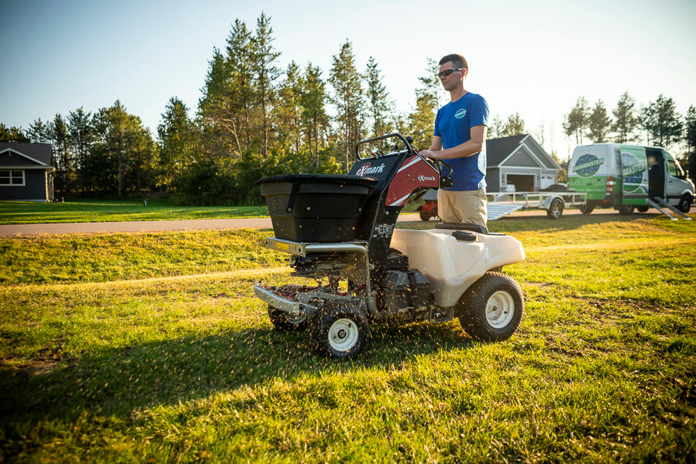 Lawn Professional Overseeding Lawn