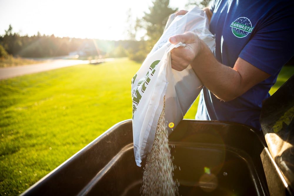 lawn care technician filling a spreader with granular lawn fertilizer