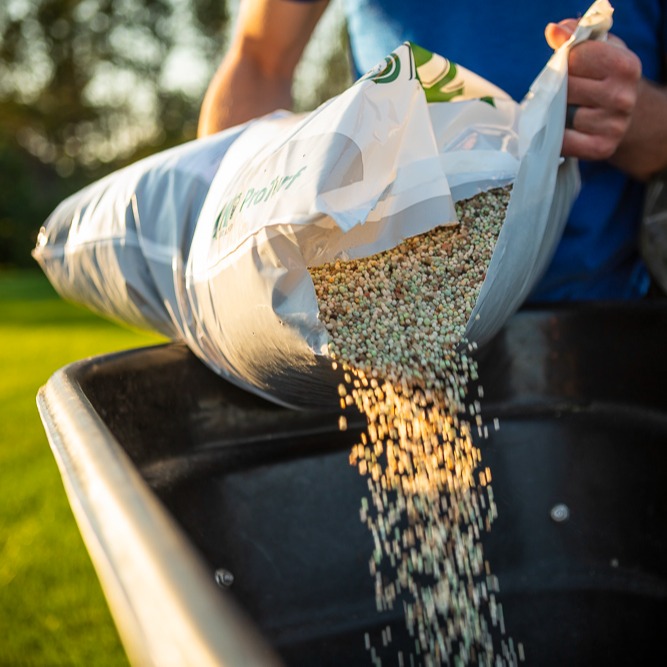 lawn care technician filling a machine with granular lawn fertilizer