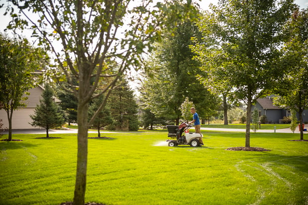 lawn technician treating lawn for fungus