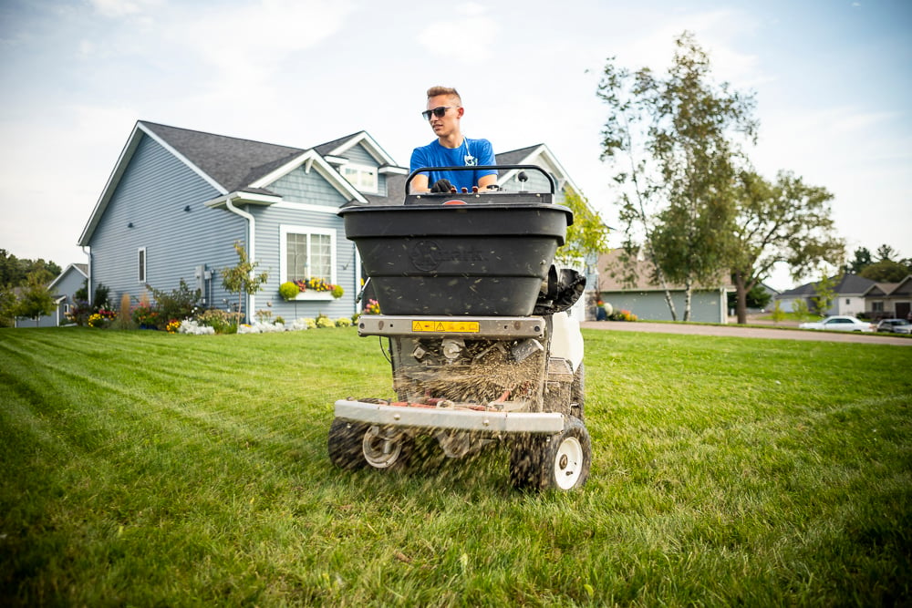 lawn professional applying granular mole repellent 