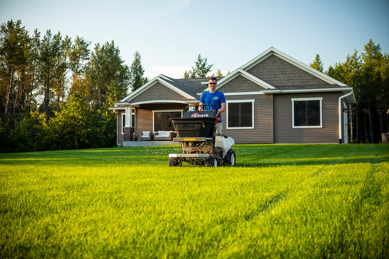 Crabgrass control application