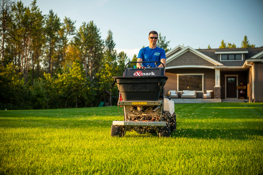 lawn care expert spreads granular fertilizer on lawn