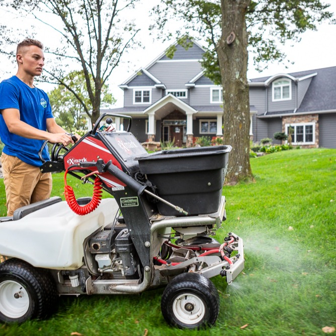 lawn care team sprays liquid grub control on grass