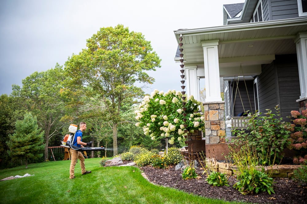 pest control applicator sprays near landscape bed