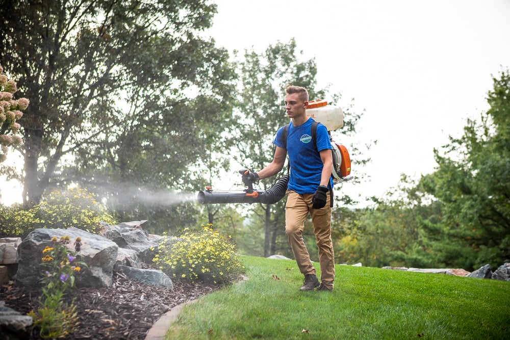 lawn team mosquito control 363