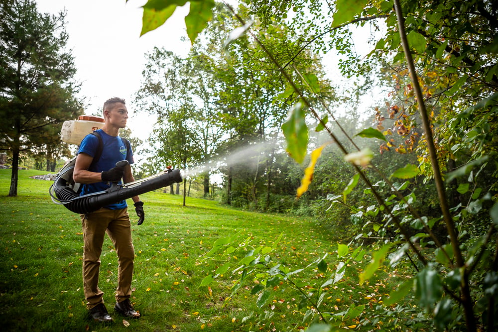 pest control technician spraying mosquito barrier spray at lawn and woodline