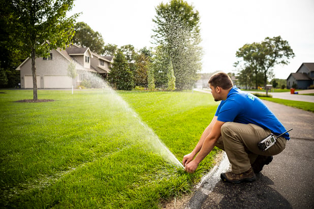 healthy grass with sprinkler system installed