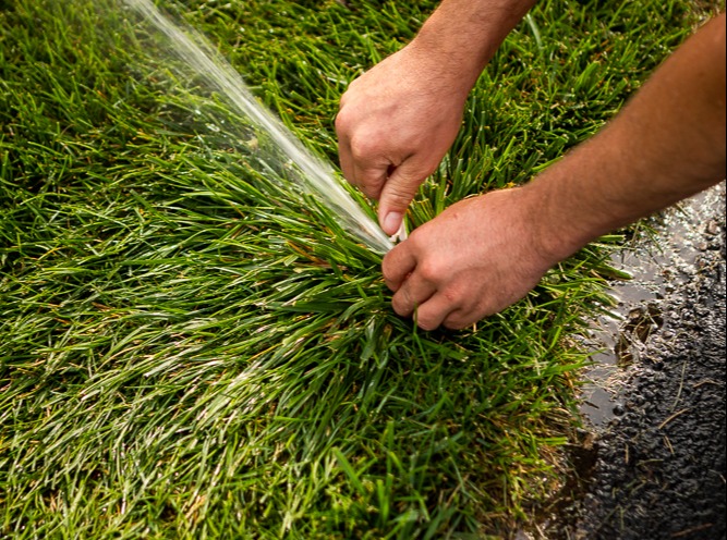 irrigation team adjusts sprinkler head