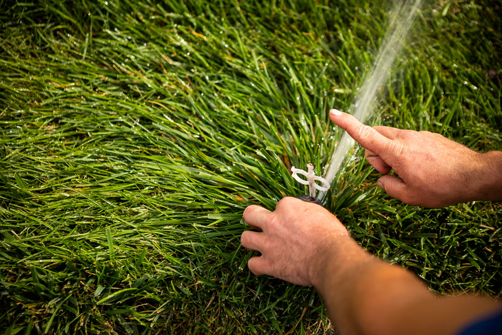 irrigation technician inspects sprinkler head