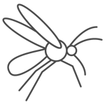 Mosquito-1