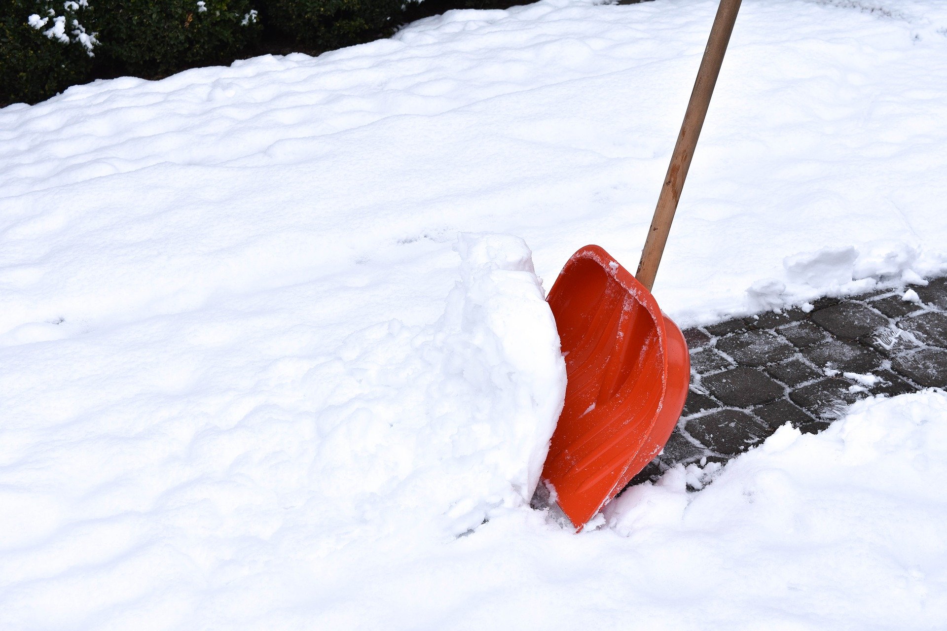 Shoveling snow off a sidewalk