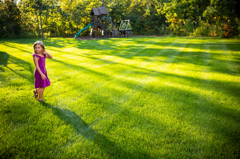 Thick grass with no crabgrass