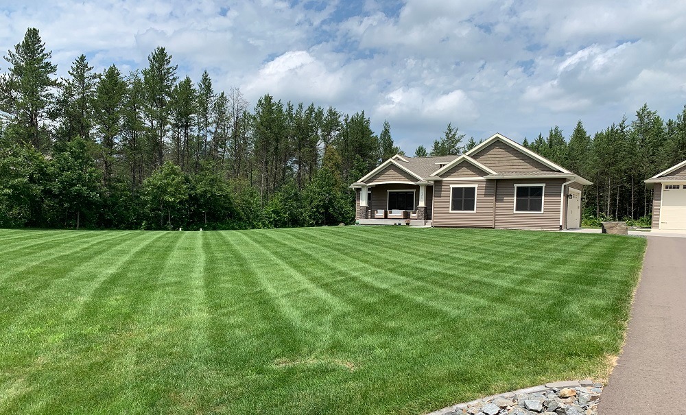 healthy green grass in front of home