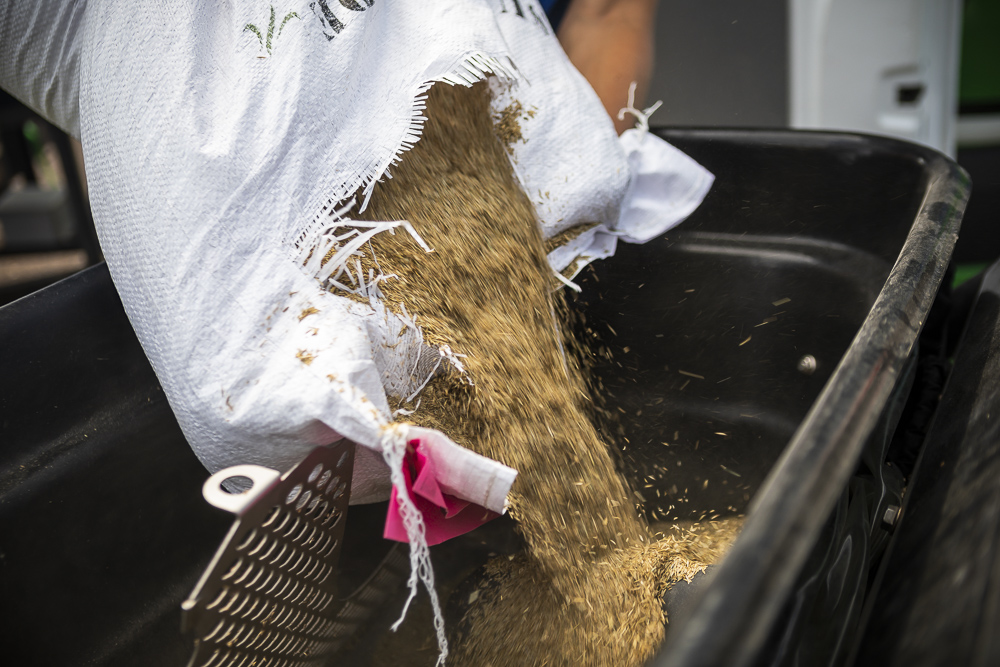 Grass seed to be planted