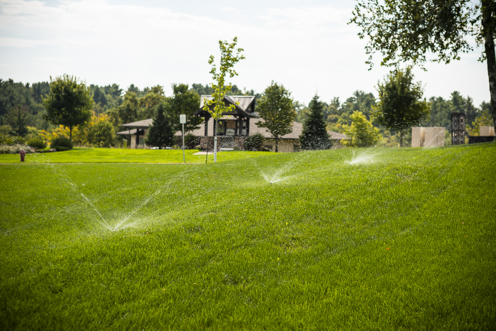Lawn with smart irrigation system