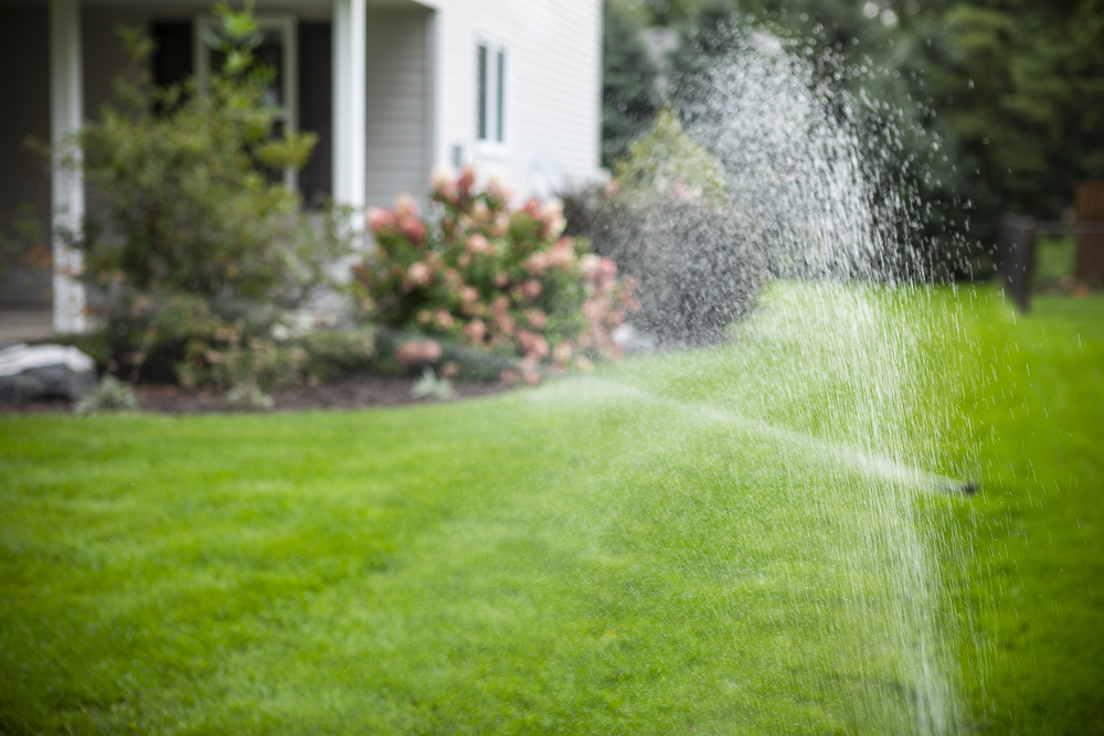 sprinklers water grass and landscape beds