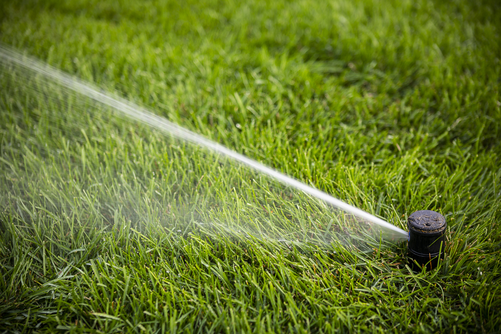 a lawn sprinkler head watering a minneapolis lawn