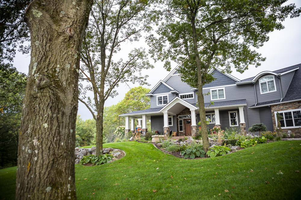 Green grass growing in shaded lawn