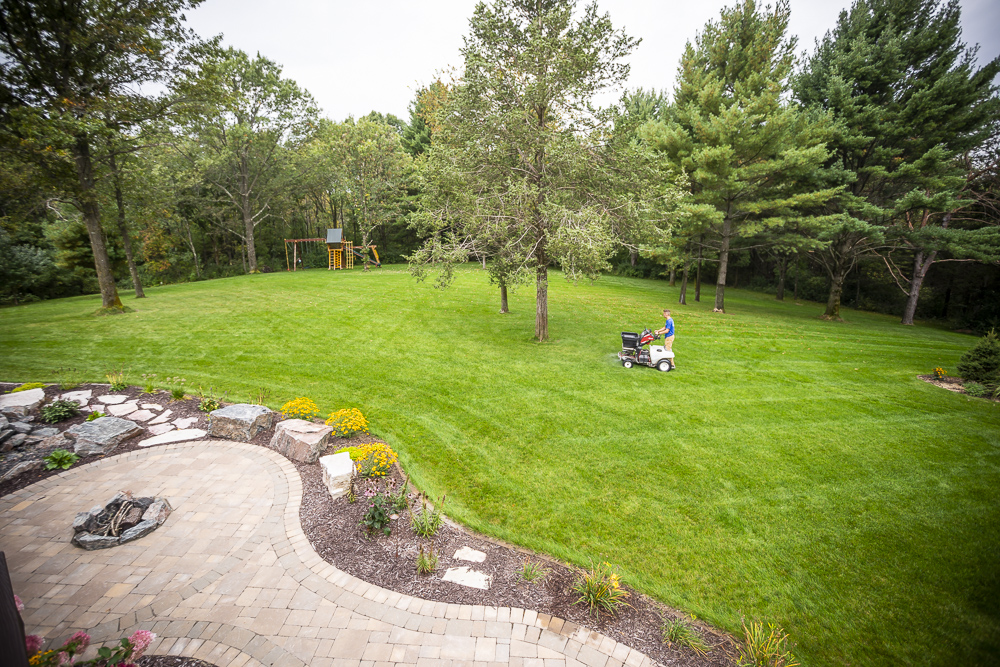 healthy grass being fertilized