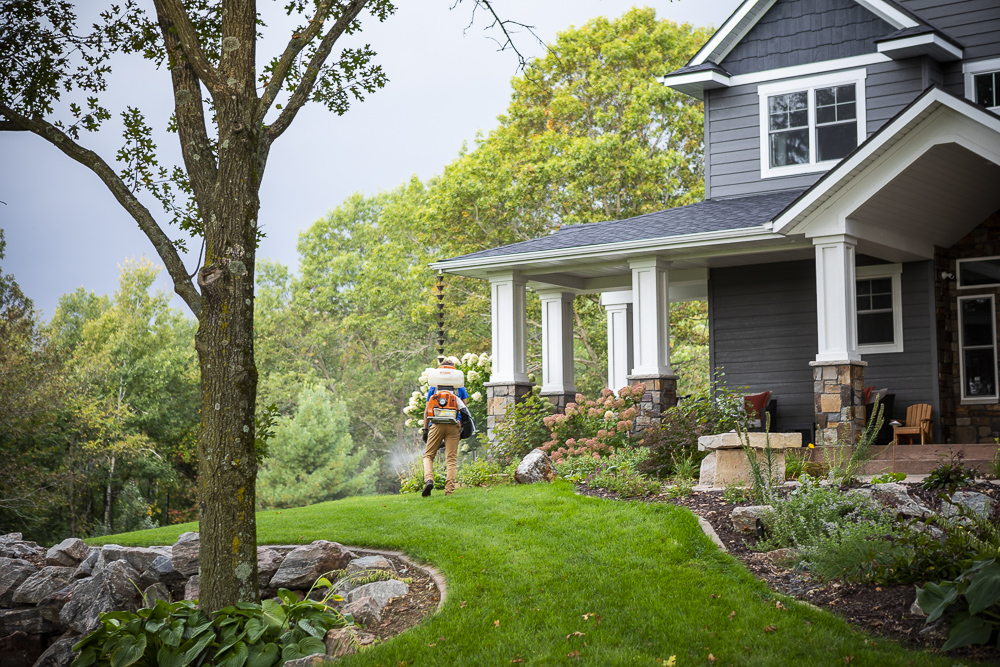 Mosquito control at an Eau Claire lawn