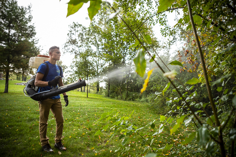 technician spraying perimeter of home to prevent ticks