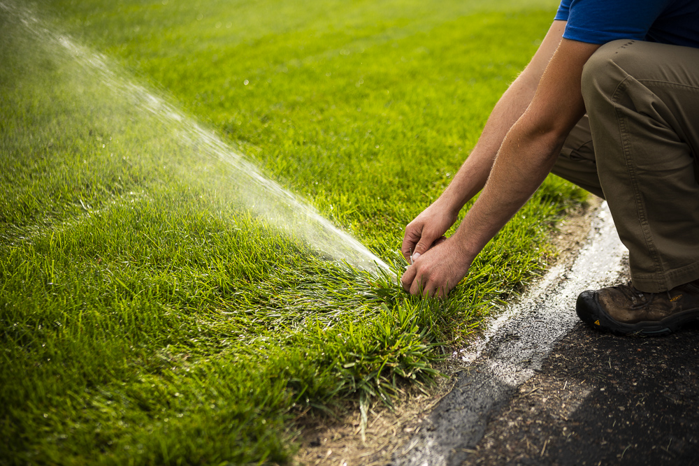 Irrigation system inspection