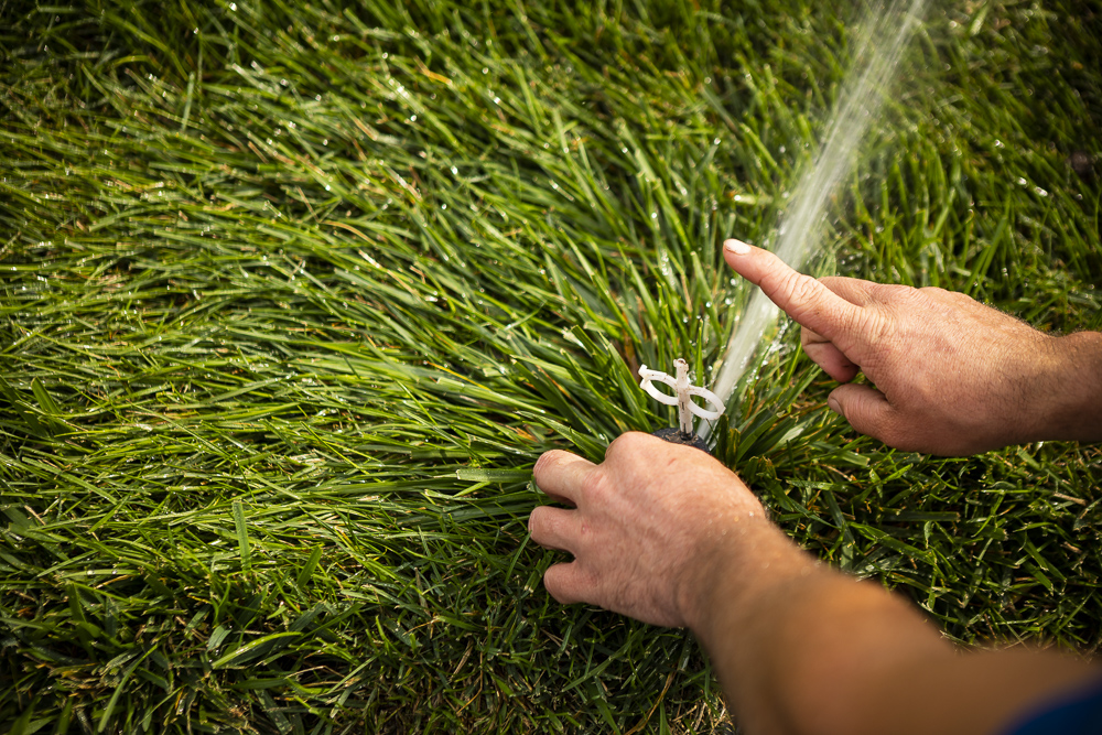 irrigation expert adjusts sprinkler head