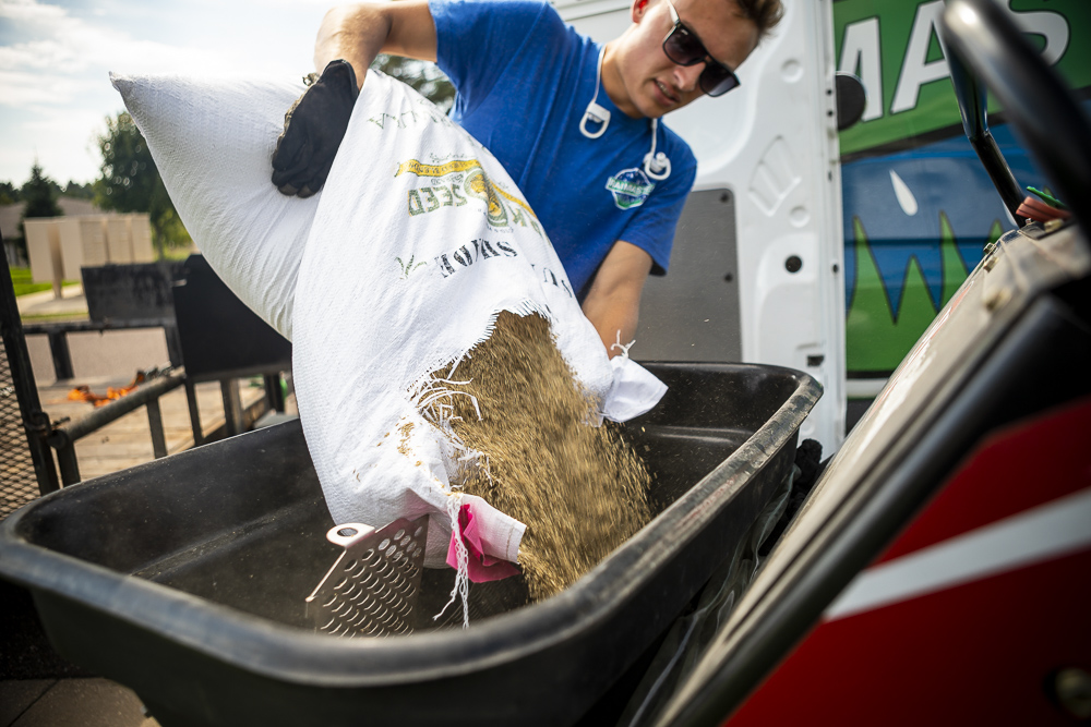 Lawn care overseeding a lawn